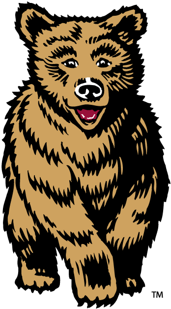 Montana Grizzlies 1996-2009 Mascot Logo iron on paper